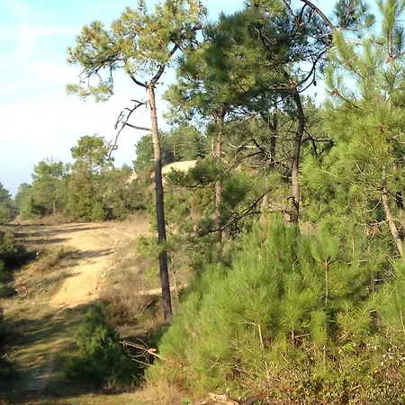 Du 104 アパート サン・ジャン·ド・モン