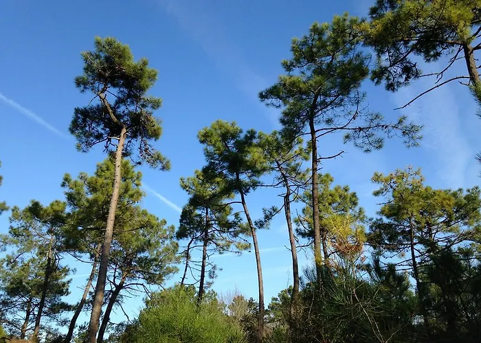 아파트 Du 104 생장드몽